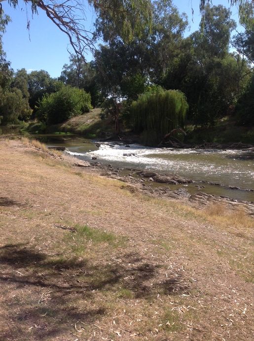 Lachlan River Forbes ,Iron Bridge to Cottons weir entry point below weir